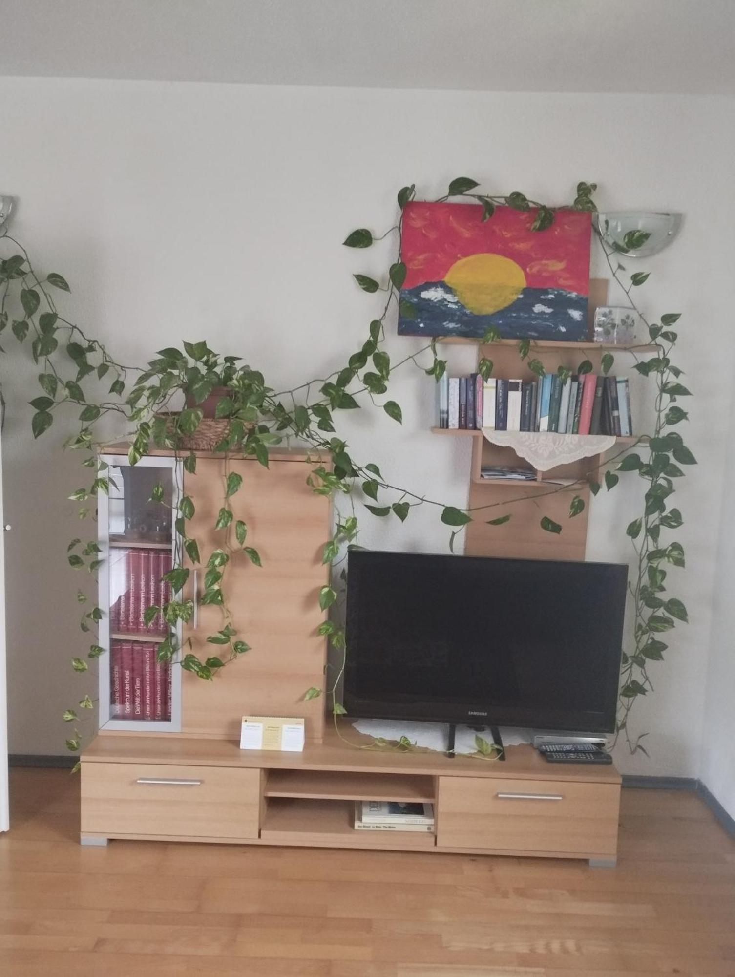 Ferienwohnung Lottstetten Экстерьер фото